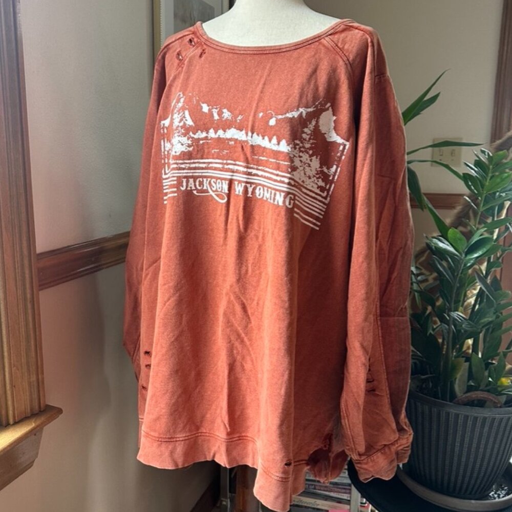 Free People Oversized Tunic Pullover, Jackson Hole, L